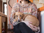 Most Dog Shaking Is Harmless. Here's the Kind That Isn't.
