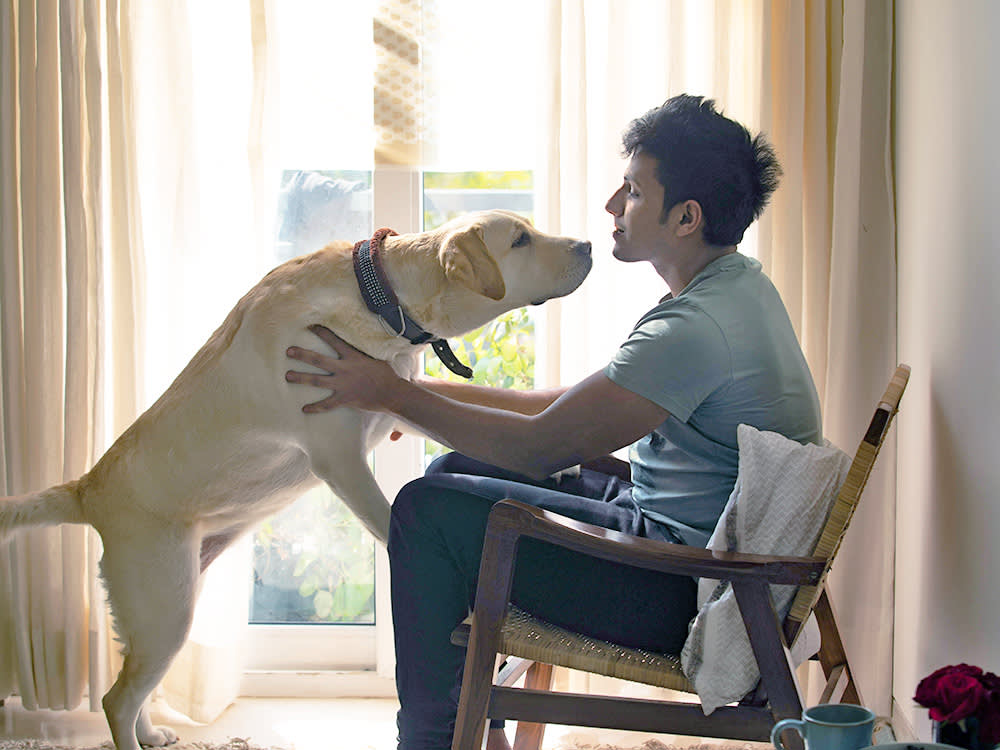 When Your Dog Stands on You, They're Asking a Question. Here's the Answer