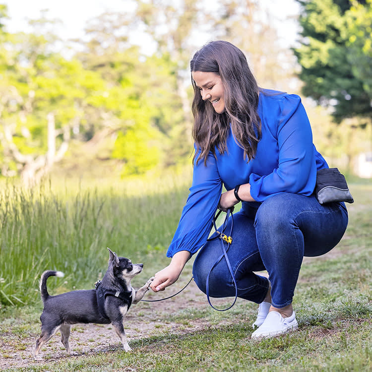 Skip the Doomscroll: 8 Dog Trainers Worth Following on Instagram