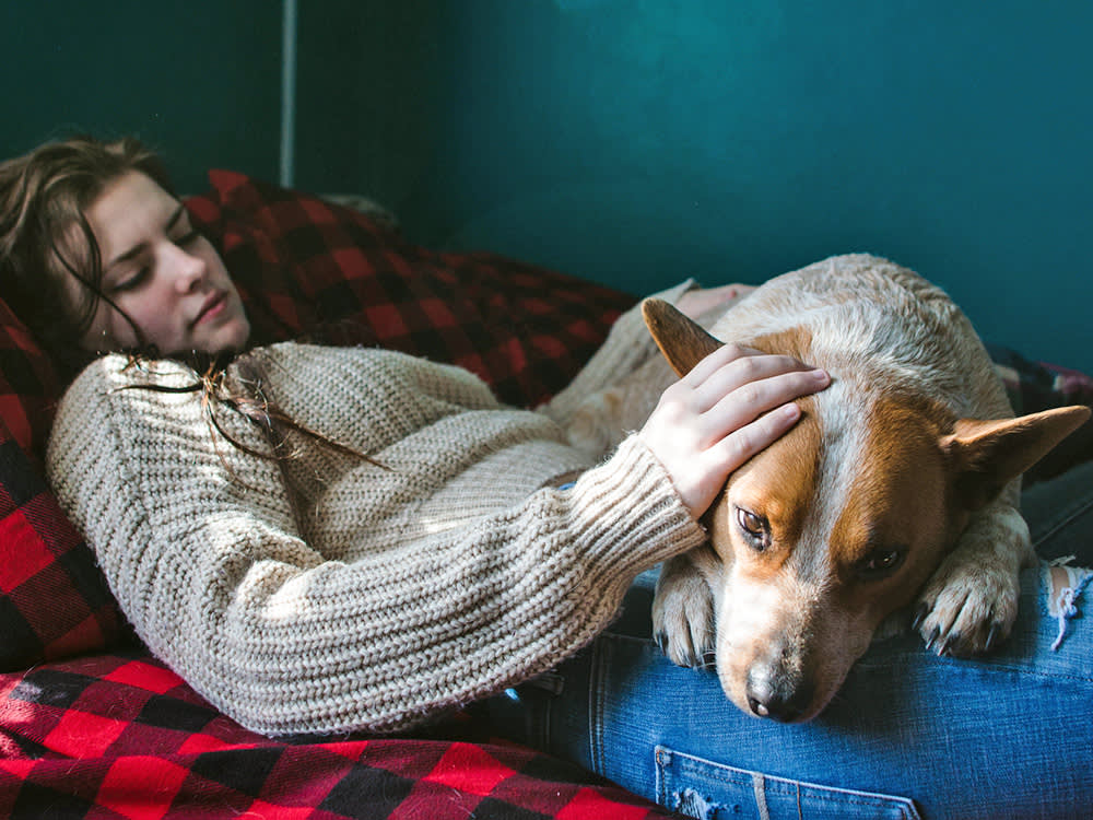 Blood in Your Dog's Vomit? The Color Is a Map. The Timeline Is a Warning.