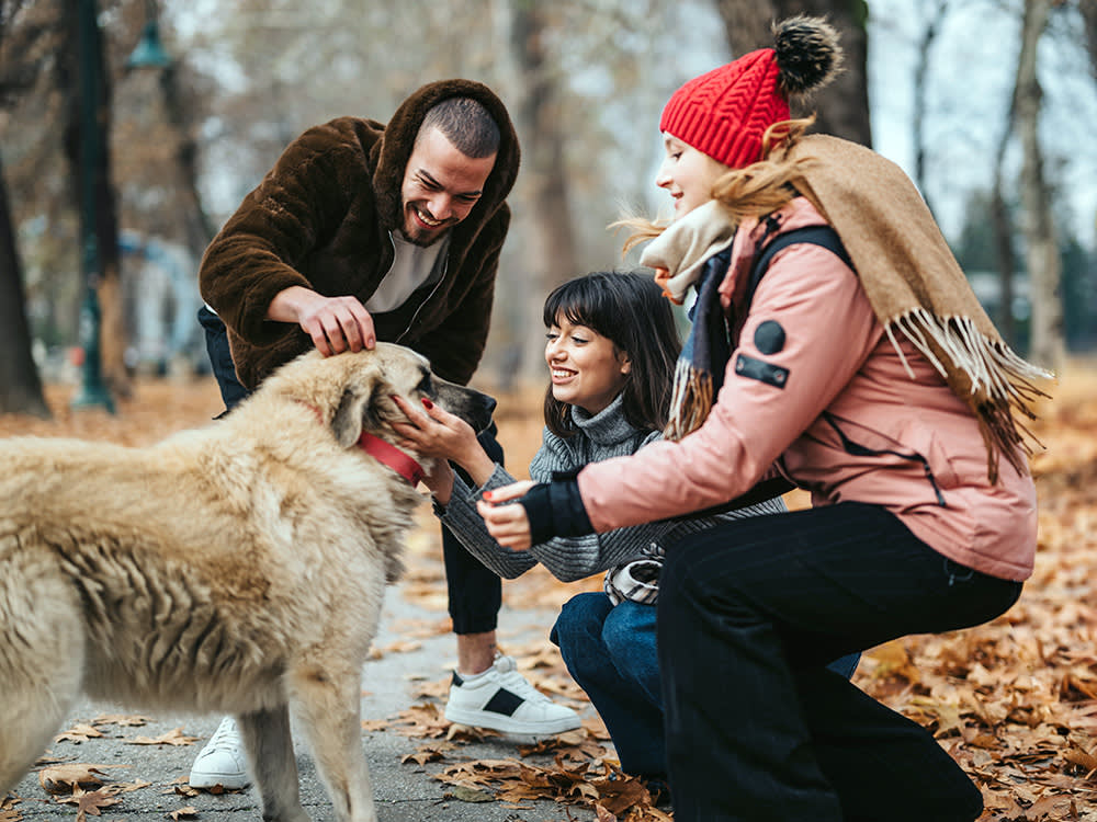 The Real Reason Dog People Know Everyone on the Block