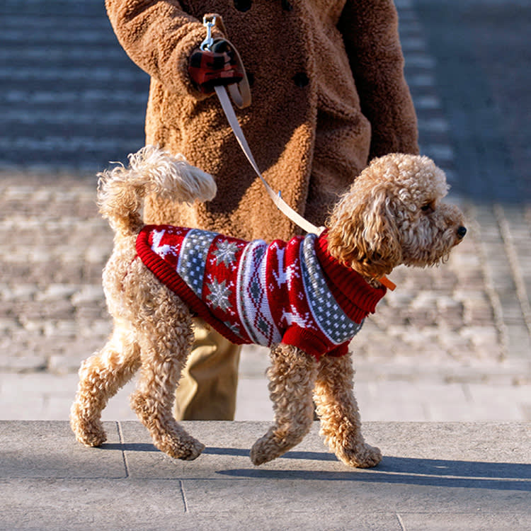 Freezing While Your Dog Dawdles? Stop Begging and Set the Scene