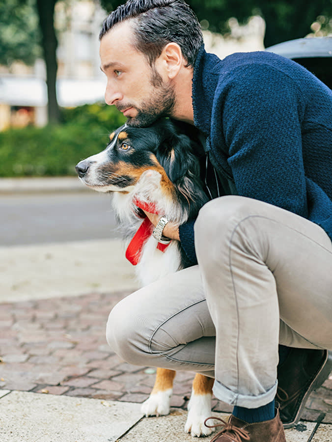 A Judge Called a Dog 'Immediate Family.' Now Read the Fine Print.