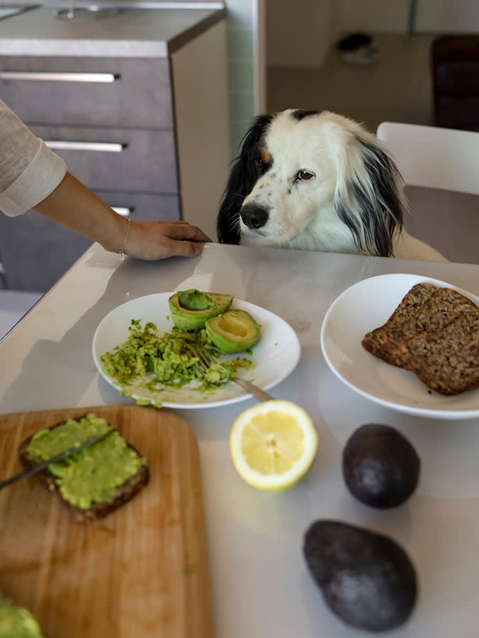 The Avocado Panic Is Half Wrong. Here's the Half That's Real.