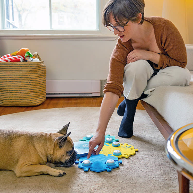 195,000 Button Presses Later: The Dogs Weren't Copying Us
