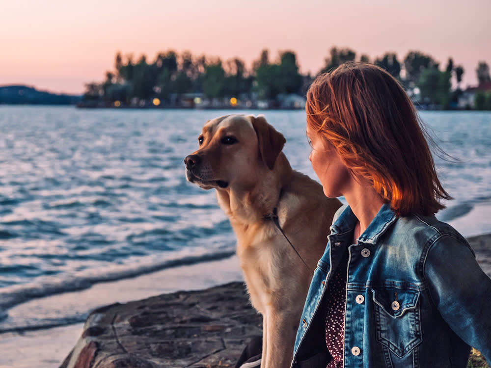 Your Dog Handles the Clock Change Better Than You Do. Unless They Work.