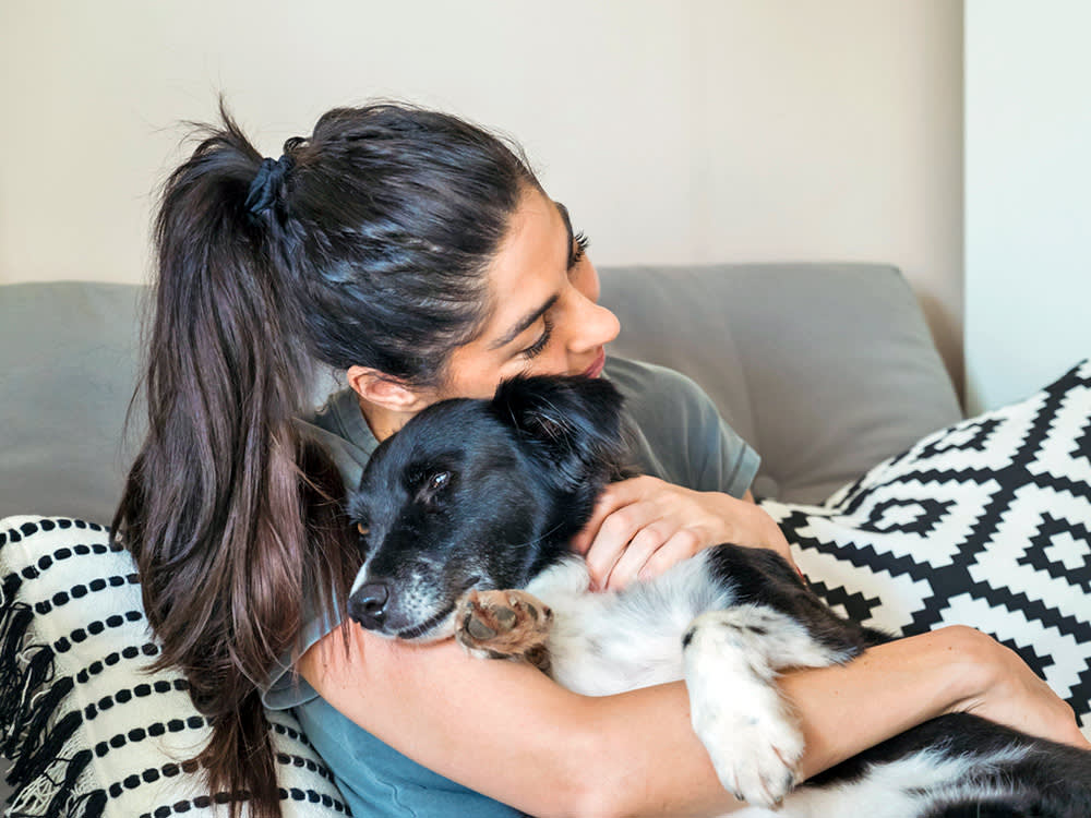 Yes, Dogs Get Headaches. The Real Question Is Which Ones Are Emergencies