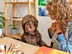 Tell Your Dog to 'Create,' and They Actually Can