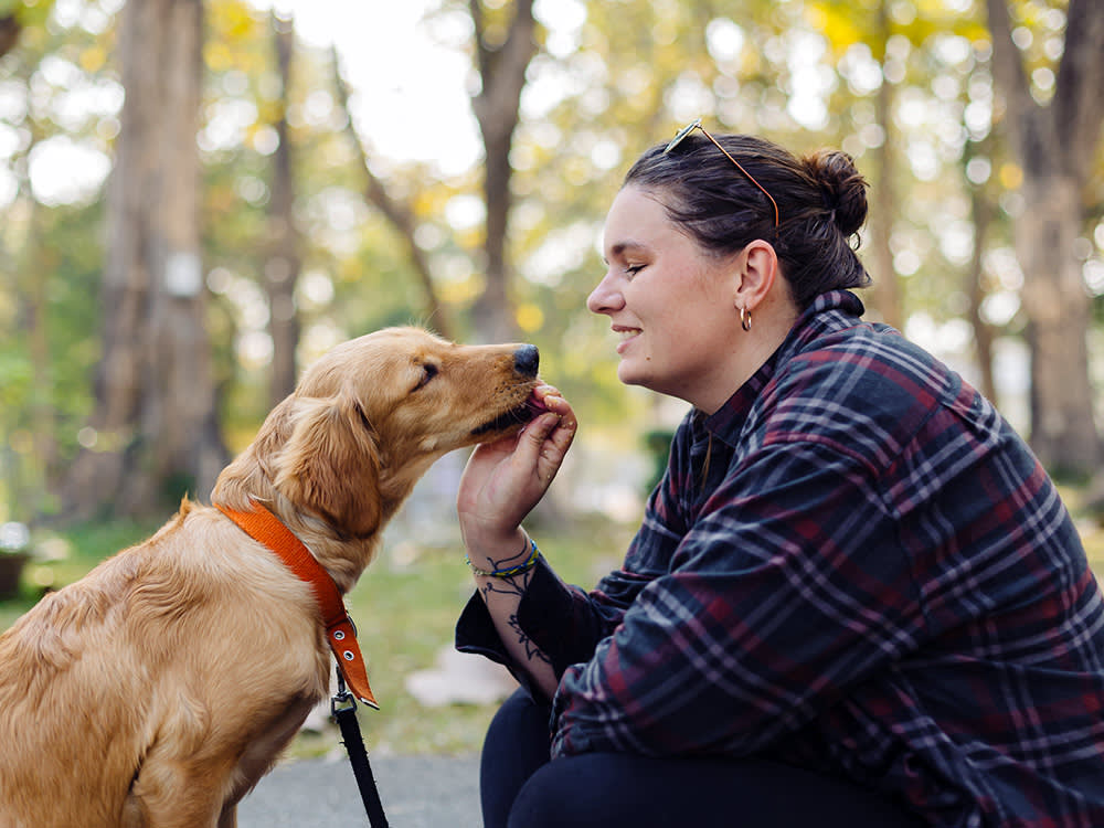 Treats Teach the Trick. Meaning the 'Good Boy' Is What Makes It Stick.
