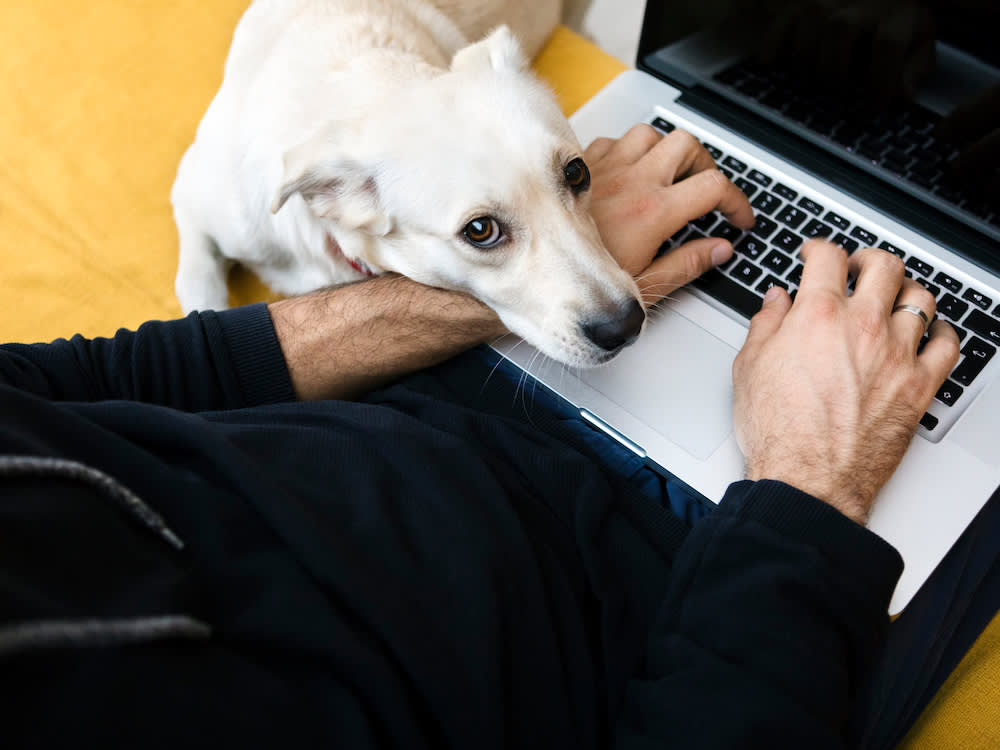 Your Dog Is Running on Your Nervous System