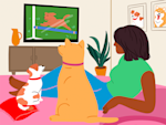 Your Dog Watches TV Like a Critic, and Science Has Their Reviews