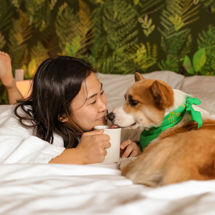 Your Pet Has a Carbon Pawprint. Don't Let It Wreck Your Peace.