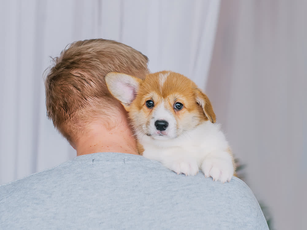 The Age of the Emotional Support Peacock Is Over. Here's What Replaced It.