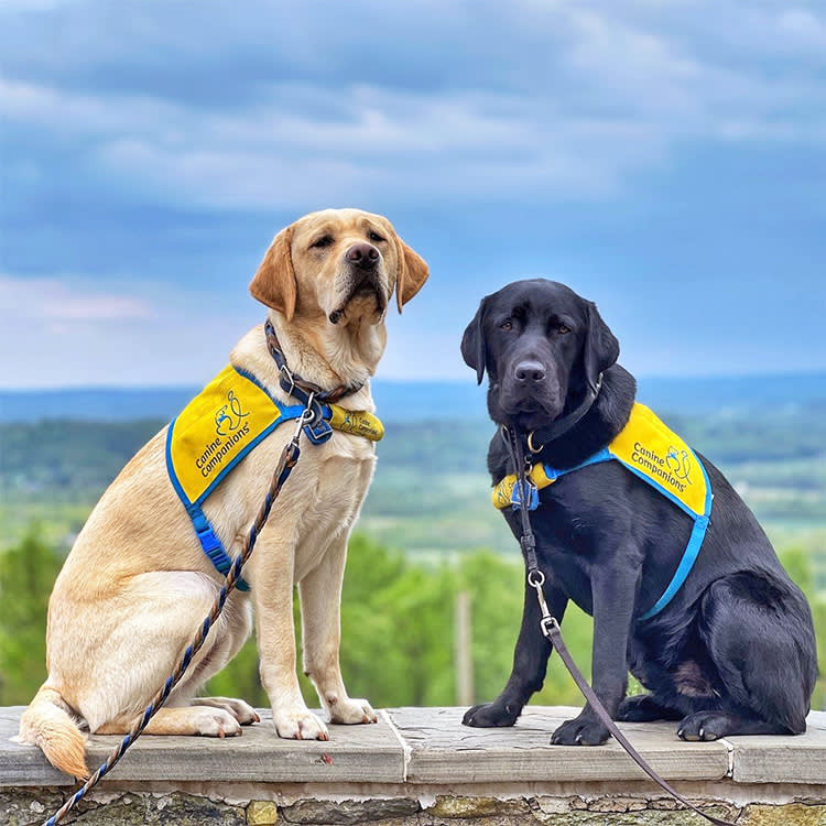 One of the Longest Partnerships in the Service-Dog World Just Got Bigger