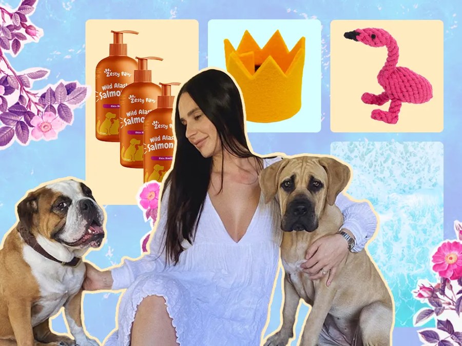 A Fashion Founder's Dog Shelf, Audited: 2 Are Real Buys, 1 Is a Prop