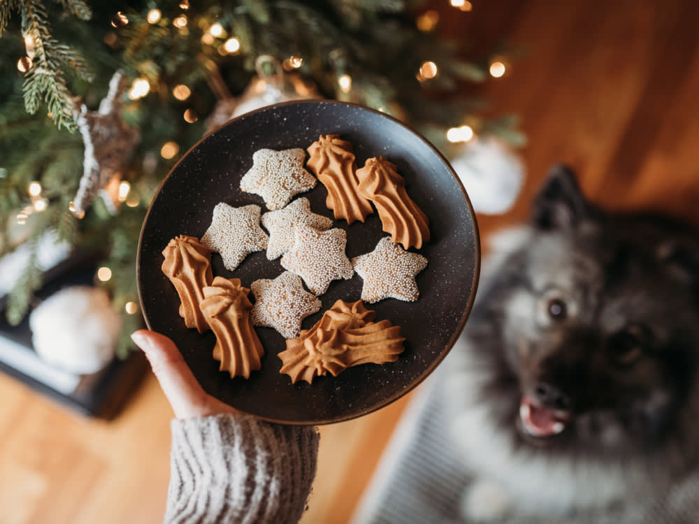 7 Holiday Dog Treats That Actually Earn a Spot in the Stocking