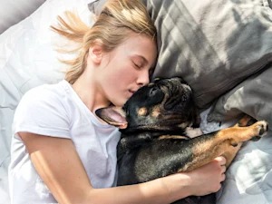 Your Flat-Faced Dog's Adorable Snore Is a Sleep Disorder