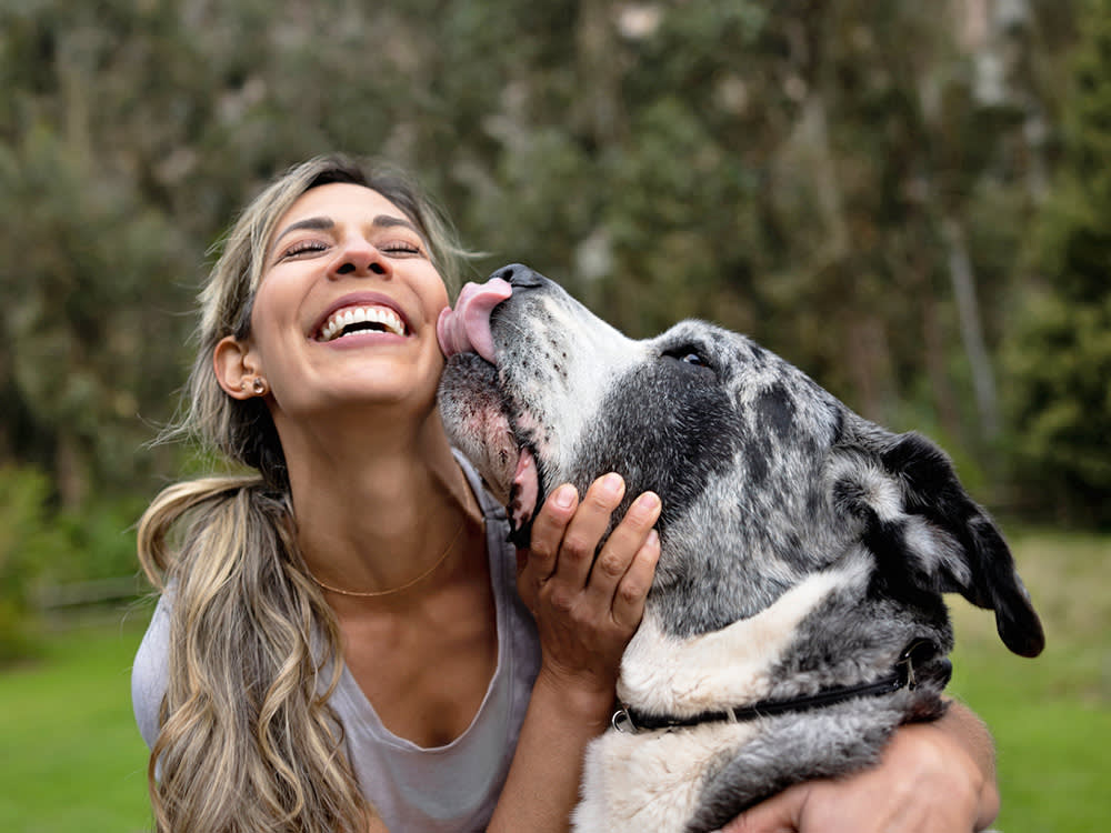 The 'Low-Maintenance Dog' Is a Myth. These 12 Breeds Just Forgive Beginners.