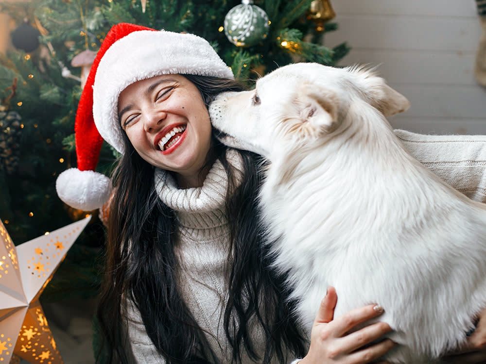 Shelters Hit Their Breaking Point Over the Holidays. Fostering Is the Fix.
