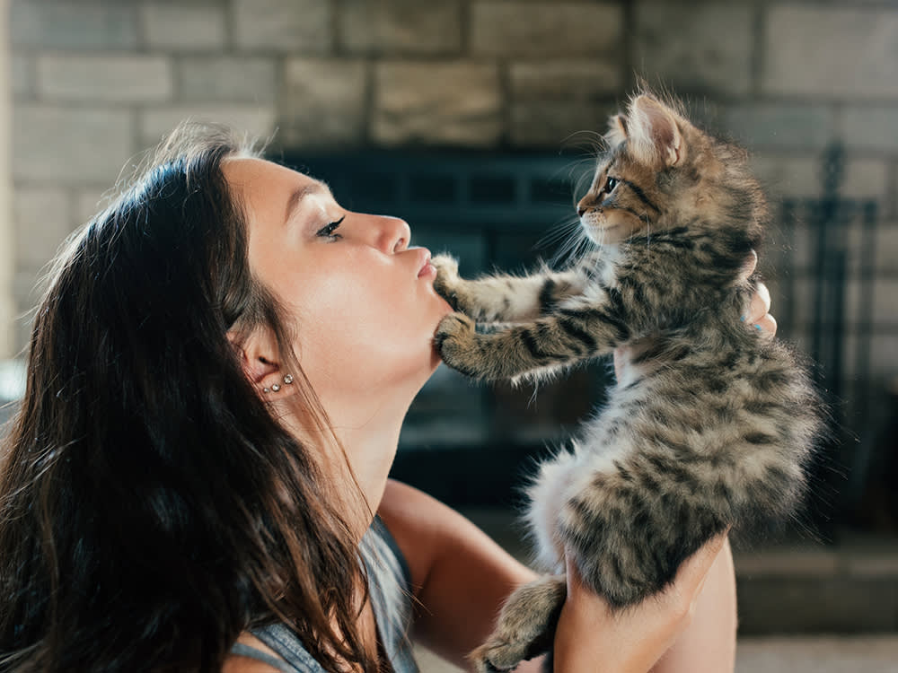 8 'Foster Fails' Who Were Never Really Going Anywhere
