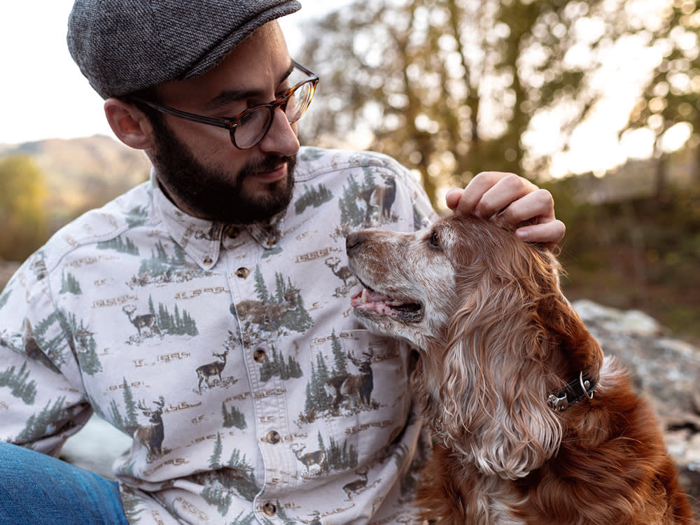 Whether Fostering Goes Well Is Decided Before the Animal Arrives