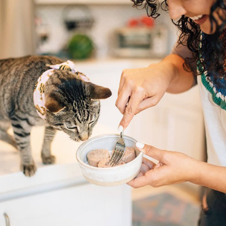 'Freeze-Dried' Tells You Nothing About Your Cat's Food. Two Labels Do.