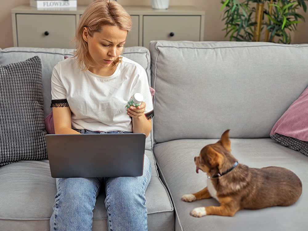 Your Vet Prescribed Gabapentin. It's Not a Sedative, and That Changes Everything.
