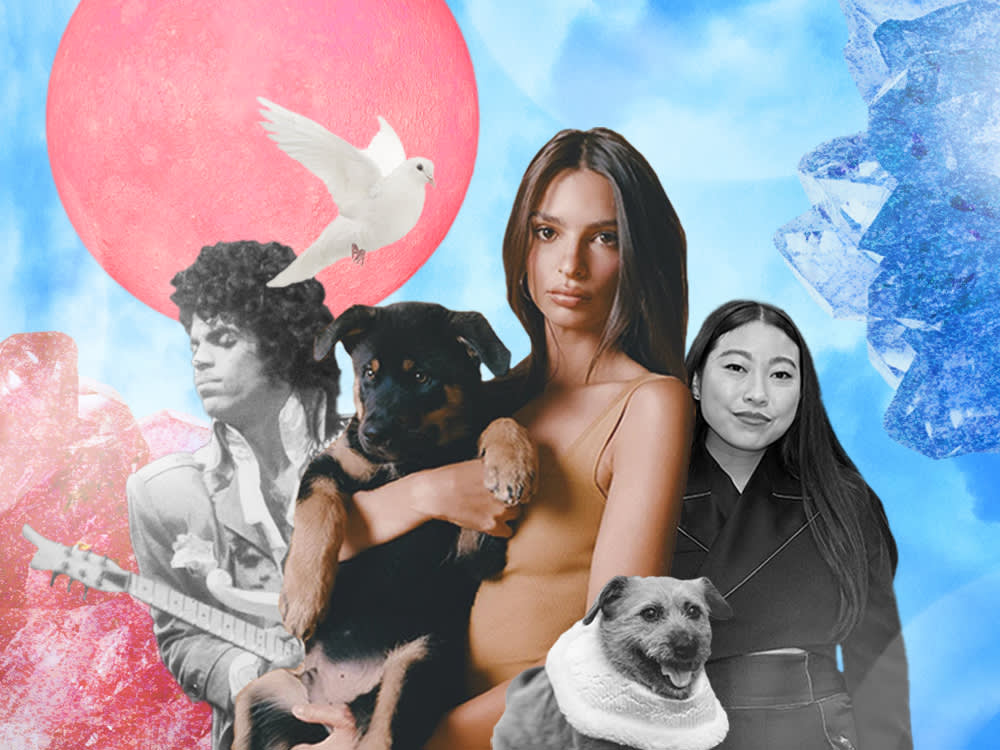 In Gemini Season, Your Pet Contains Multitudes Too