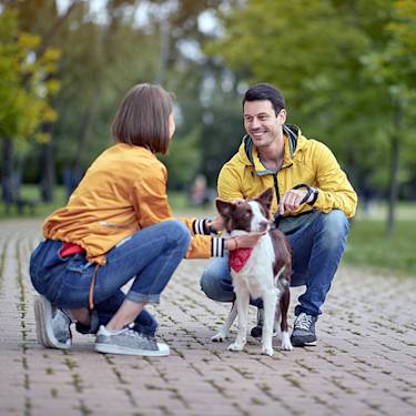 Some Dogs Learn Words by Eavesdropping. Scientists Just Proved It.
