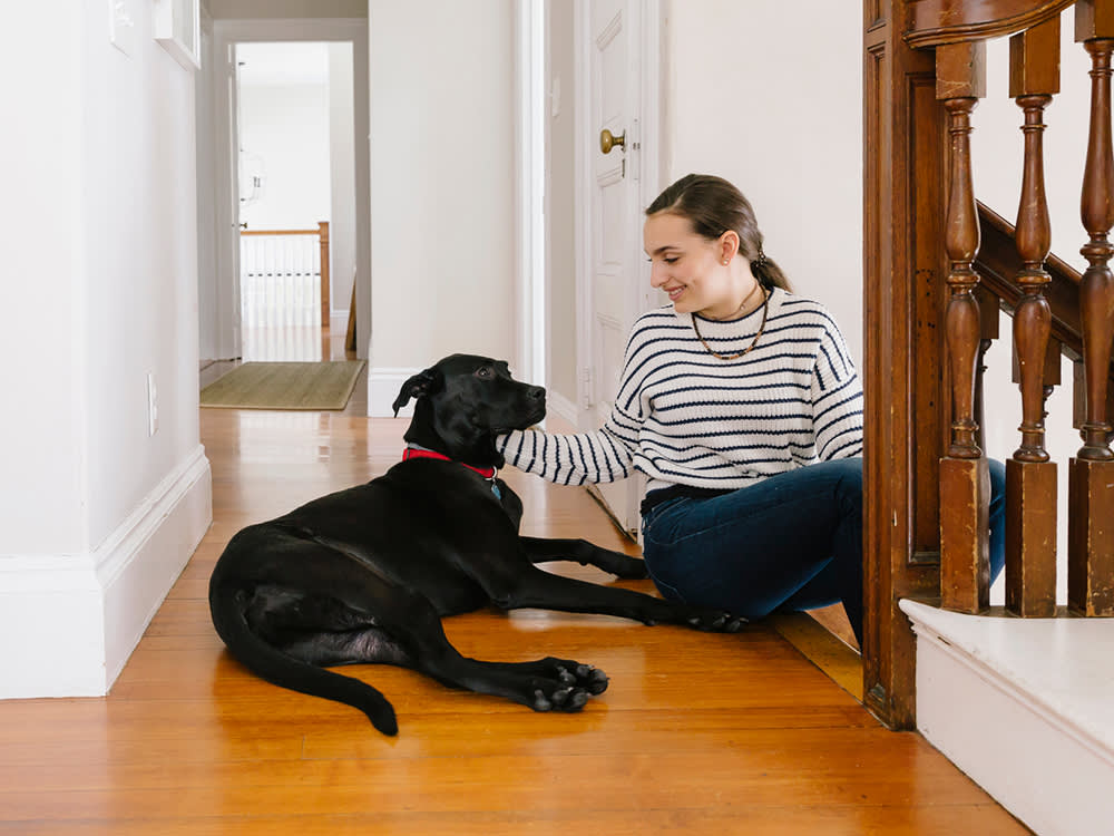 Anyone Can Feed a Cat. Great Pet Sitters Do These Four Things