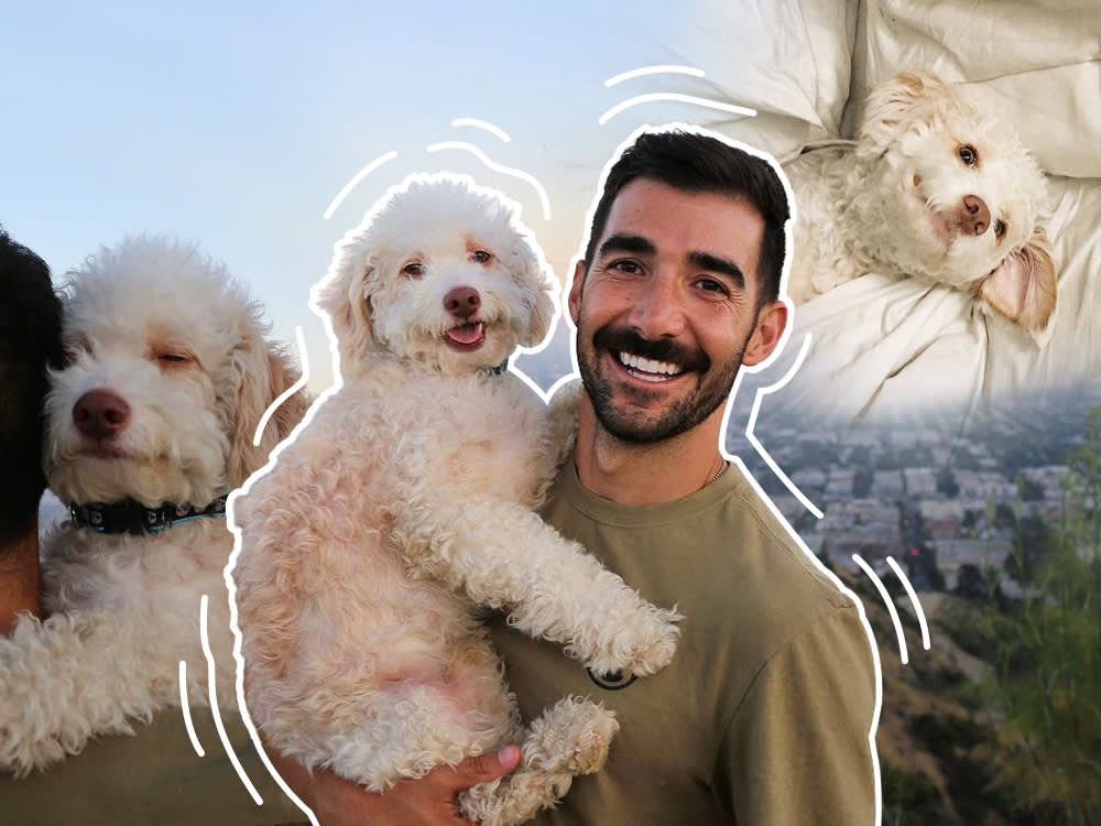 The 'Compostable' Poop Bag Is Often Greenwashing. Smarter Eco Swaps for Your Dog