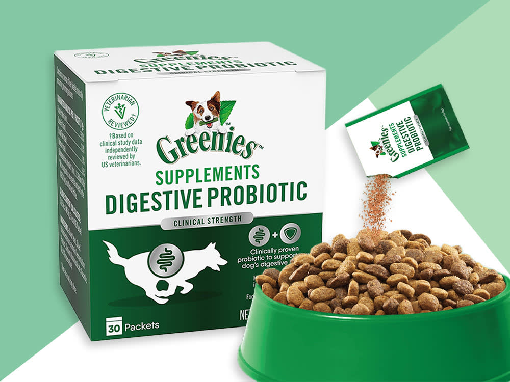 A Probiotic Is Only as Good as Its Reason. Does Your Dog Have One?