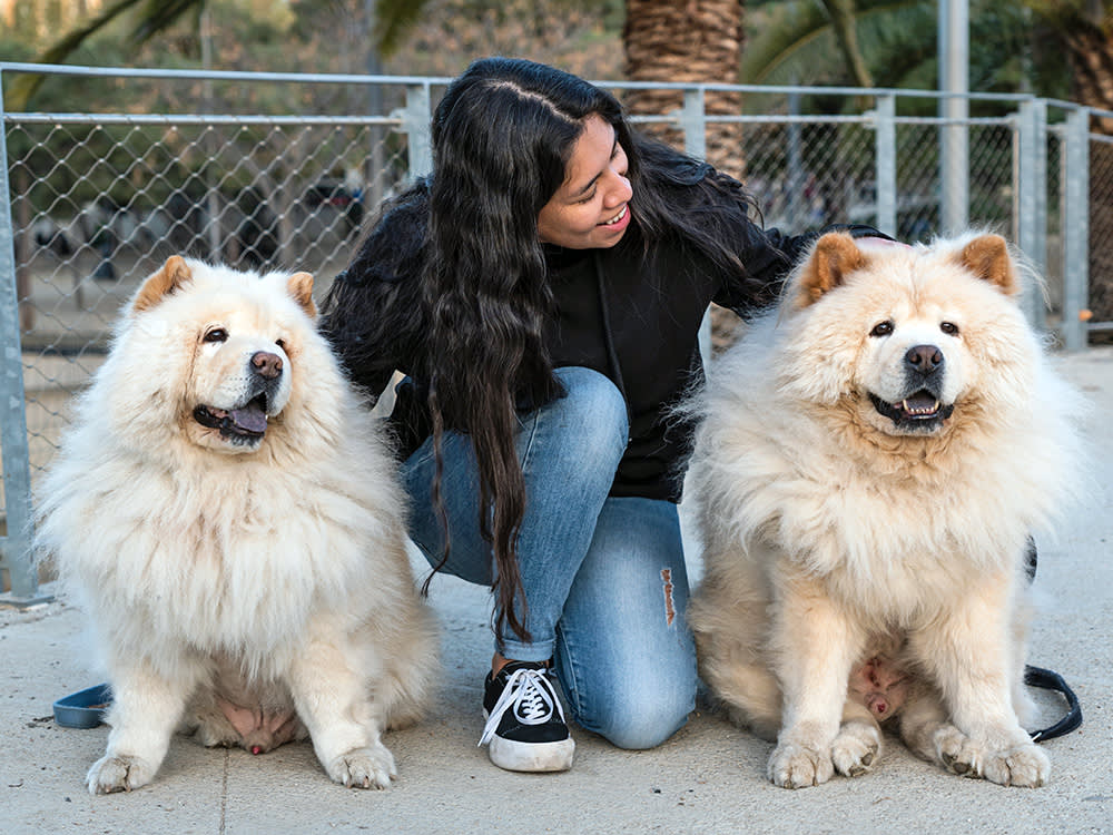 Hair vs. Fur Is the Same Protein. One Difference Still Decides How Much You Brush.