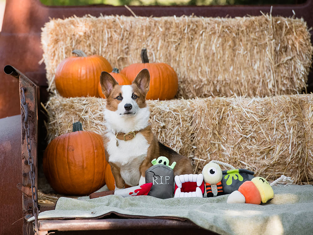 22 Spooky-Cute Toys and Treats Your Resident Goblin Deserves