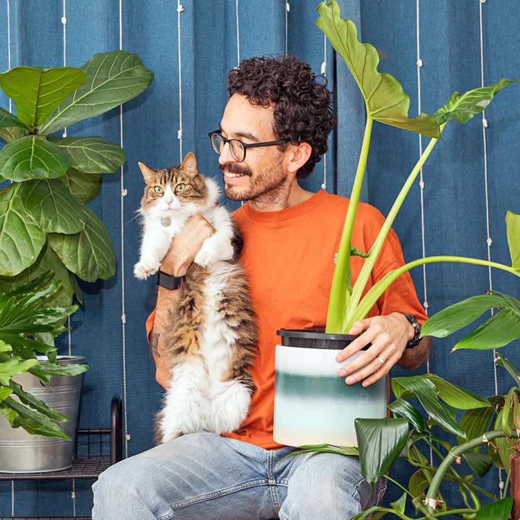 Your Cat Can't Smile. Here's Where Their Happiness Actually Shows