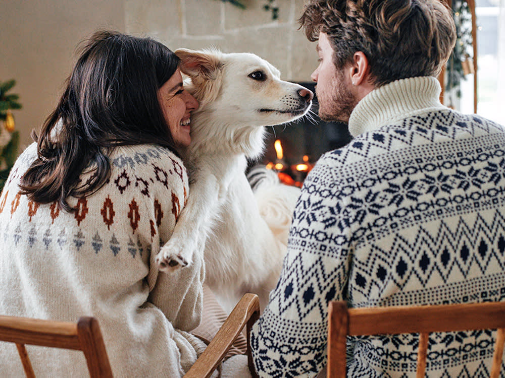 Most Pet Owners Skip the Holiday Sitter. Our Survey Found Out Why.