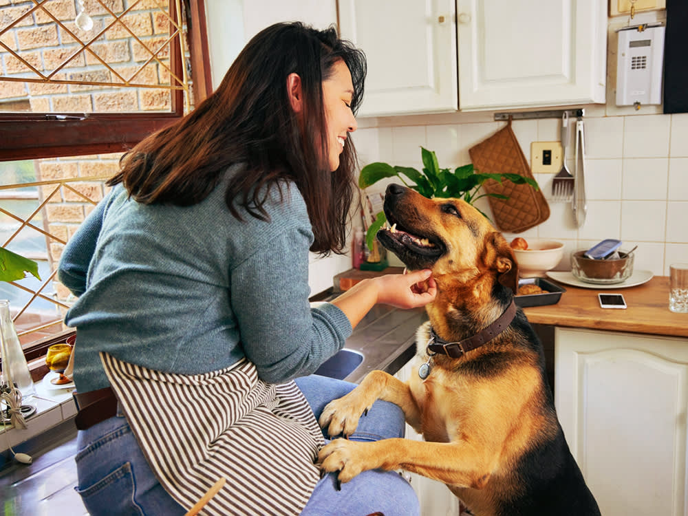 5 Reasons to Cook for Your Dog. Just Don't Cook All of It.