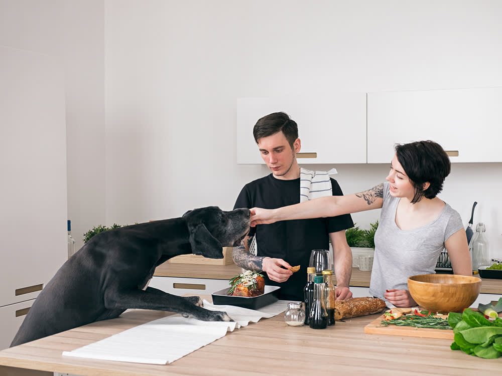 Home-Cooked Dog Food Can Run $3 a Day. The Real Price Is Your Sundays.