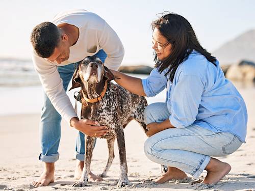 Your Dog Doesn't Remember Your Face. They Remember How You Made Them Feel.