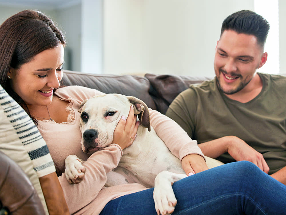 Your Dog's Love Language Isn't About Their Breed. Not Really.