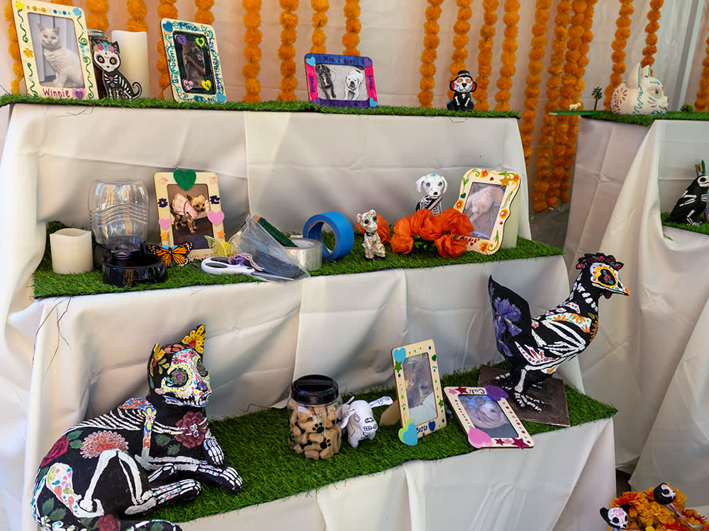 There's a Grief Ritual for Pets. Most Americans Have Never Been Told About It.