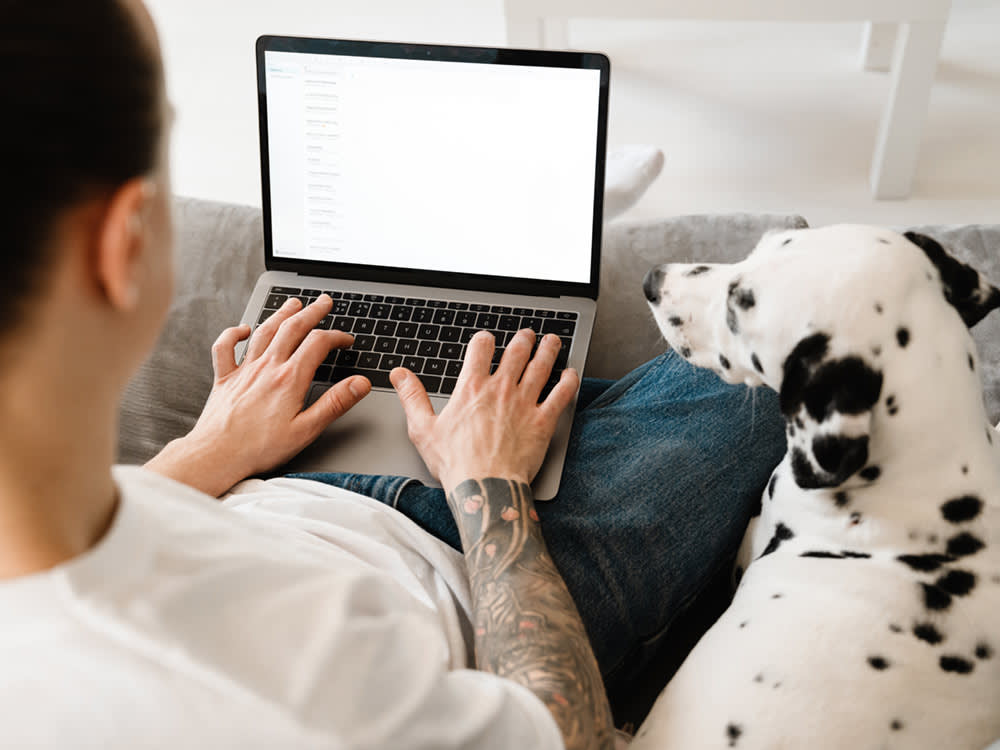 Your Vet Might Answer Your Email. Here's How Not to Get Ignored.
