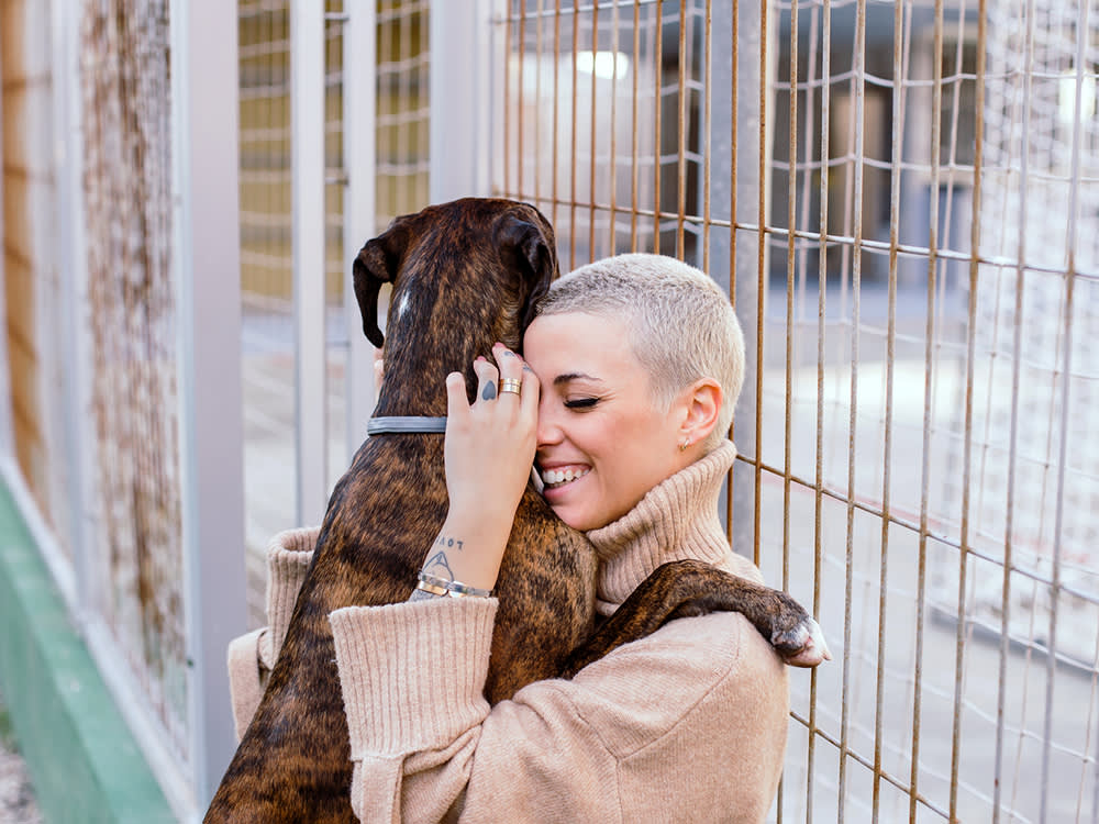Your Dog Runs. Your Cat Hides. Searching for Them the Same Way Is Why You Lose Them.