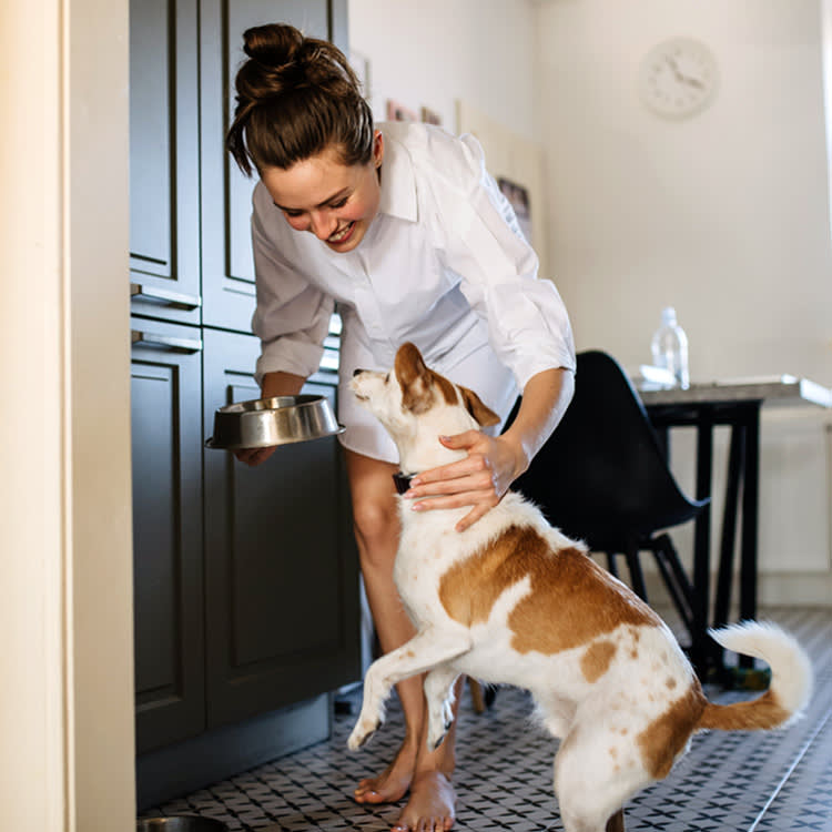 'Human-Grade' Dog Food Is a Real Standard and a Marketing Trick