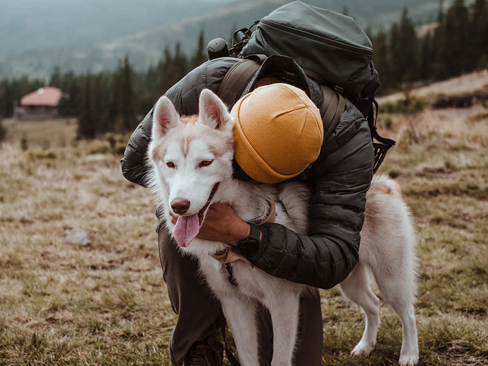 The Dire Wolf Fantasy Is Filling Shelters With Real Huskies