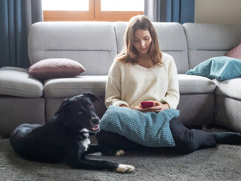 The Vet Now Comes to You, and Your Pet Is Calmer for It