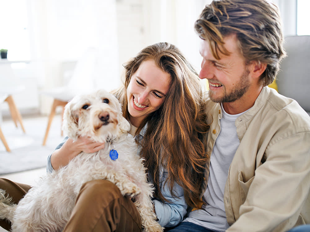 "Too Soon" to Introduce Your Dog to a New Partner? Wrong Question.