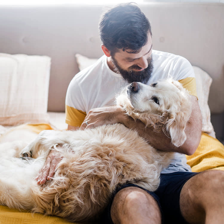 No, Your Dog Isn't Faking Sick. But They Did Learn One Sneaky Trick.