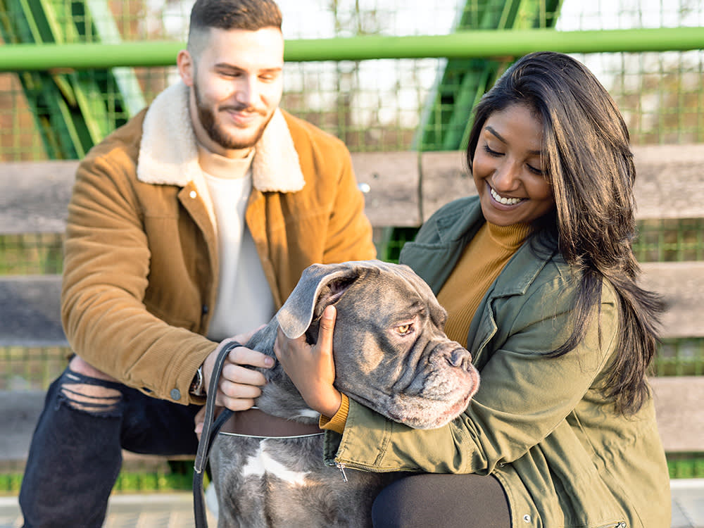 Your Dog Doesn't Hate Your New Partner. They Hate That Their Life Got Worse