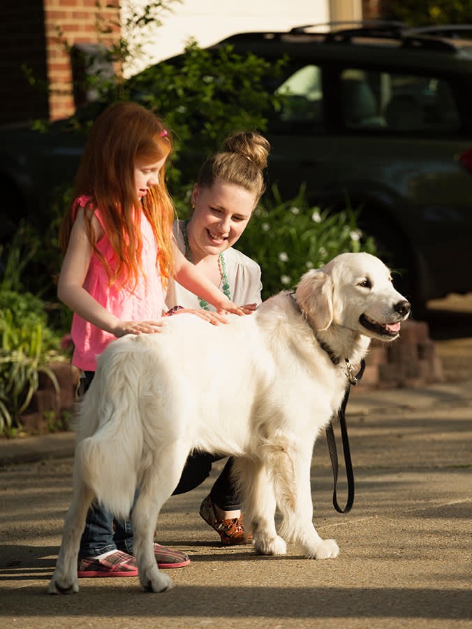 The Dog That Bites Your Kid Isn't the One on the Sidewalk